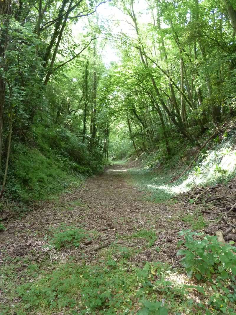 Disused Railway Line